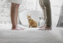 The Best Flooring Solutions For Pet Friendly Homes