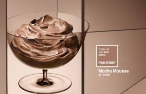 PANTONE 17-1230 Mocha Mousse odabrana za boju godine 2025 / foto: pantone.com